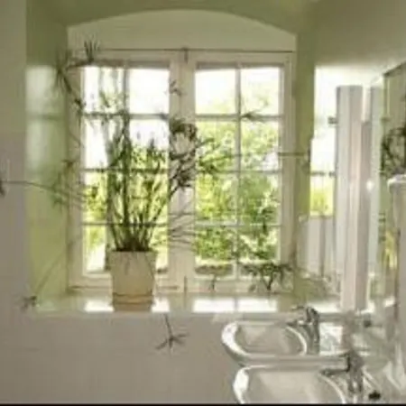 Manor بيت شباب